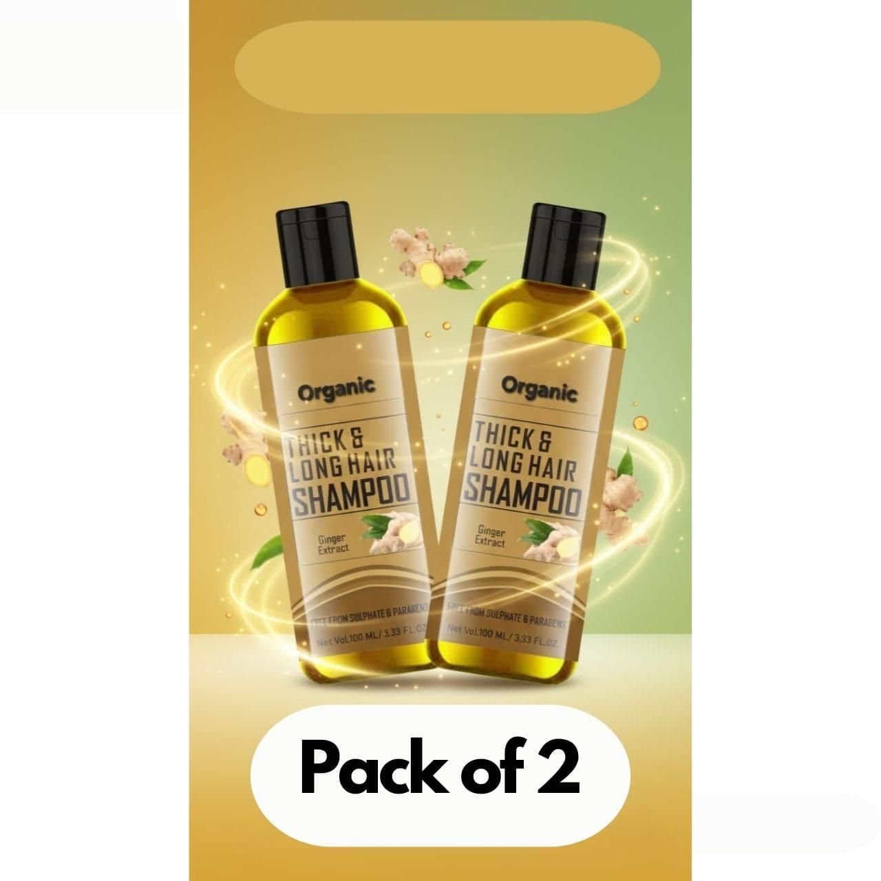 🌿 Hair Shampoo with Ginger Extract – Strengthening & Damage Repair (Pack of 2 × 100 ml)